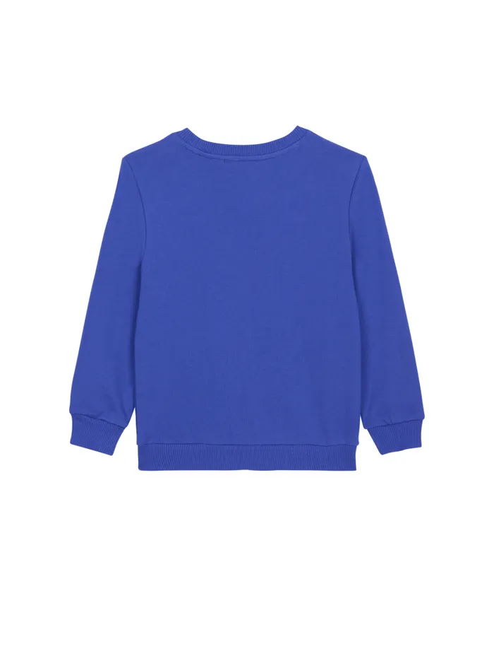 Balmain Boys 410 Years Kids Sweatshirt With Paris Logo Blue