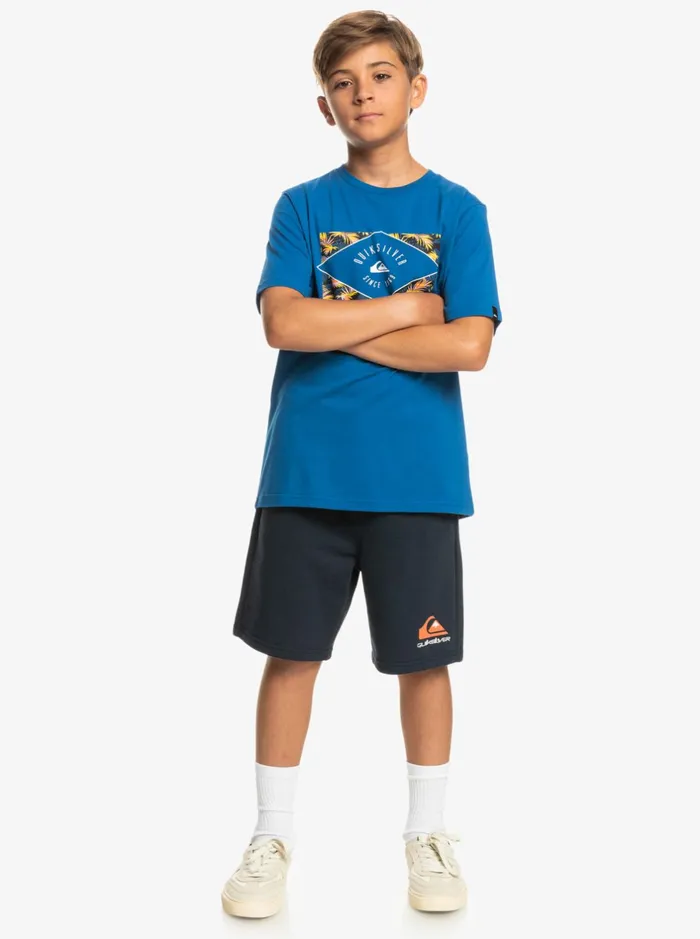 Shorts Boys Quiksilver Boy039s 816 Easy Day Joggers Navy Blazer Shorts Boys Quiksilver Boy039s 816 Easy Day Joggers Navy Blazer