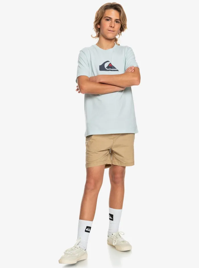 Shorts Boys Quiksilver Boy039s 816 Taxer 15034 Elastic Waist Shorts Plage Shorts Boys Quiksilver Boy039s 816 Taxer 15034 Elastic Waist Shorts Plage