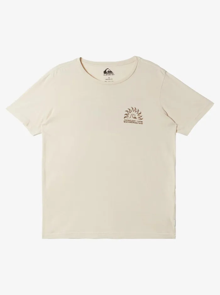 Tees Boys Quiksilver Boy039s 816 Earthy Type TShirt Birch