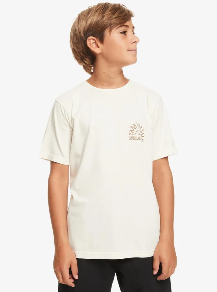 Tees Boys Quiksilver Boy039s 816 Earthy Type TShirt Birch Tees Boys Quiksilver Boy039s 816 Earthy Type TShirt Birch