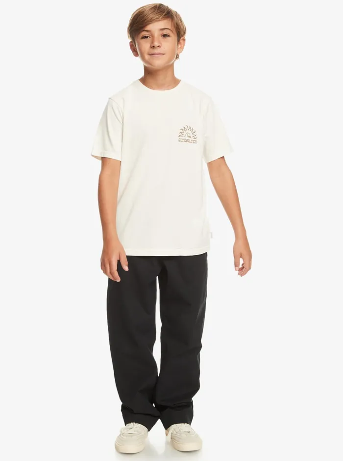 Tees Boys Quiksilver Boy039s 816 Earthy Type TShirt Birch Tees Boys Quiksilver Boy039s 816 Earthy Type TShirt Birch
