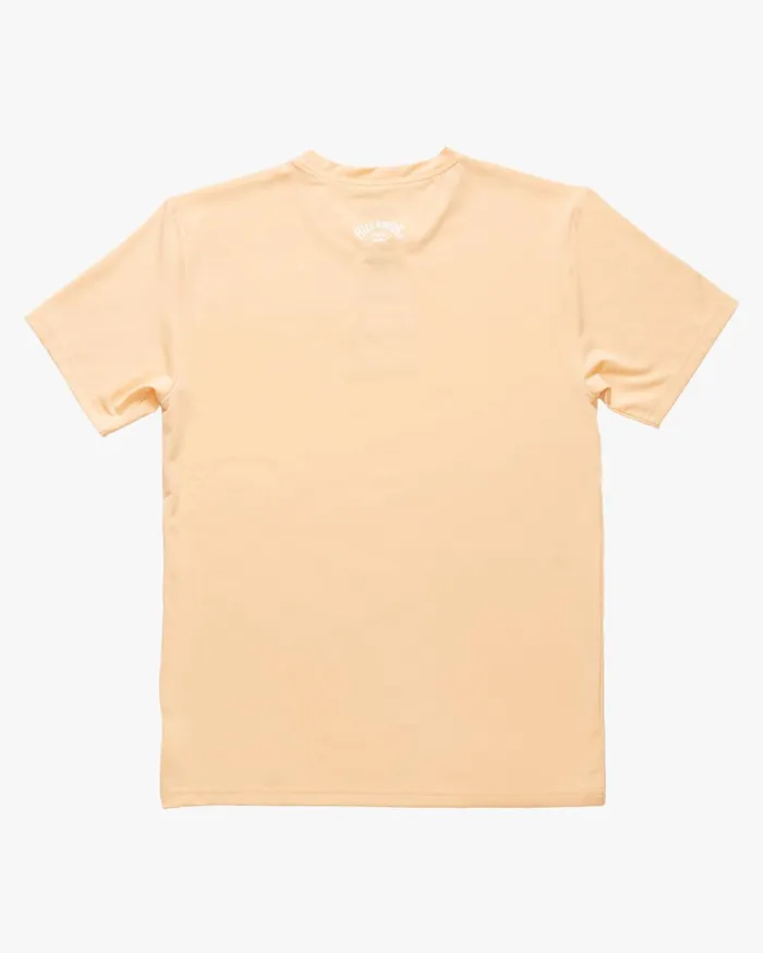 Billabong Boys039 04027041 All Day Wave Loose Fit Short Sleeve Surf Tee Dusty Melon Kids Toddlers and Boys 27 Yrs Billabong Boys039 04027041 All Day Wave Loose Fit Short Sleeve Surf Tee Dusty Melon Kids Toddlers and Boys 27 Yrs