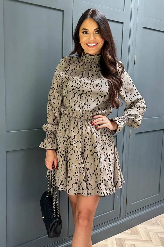 AX Paris Beige Animal Print Long Sleeve Shirred Detail Skater Dress Women Dresses