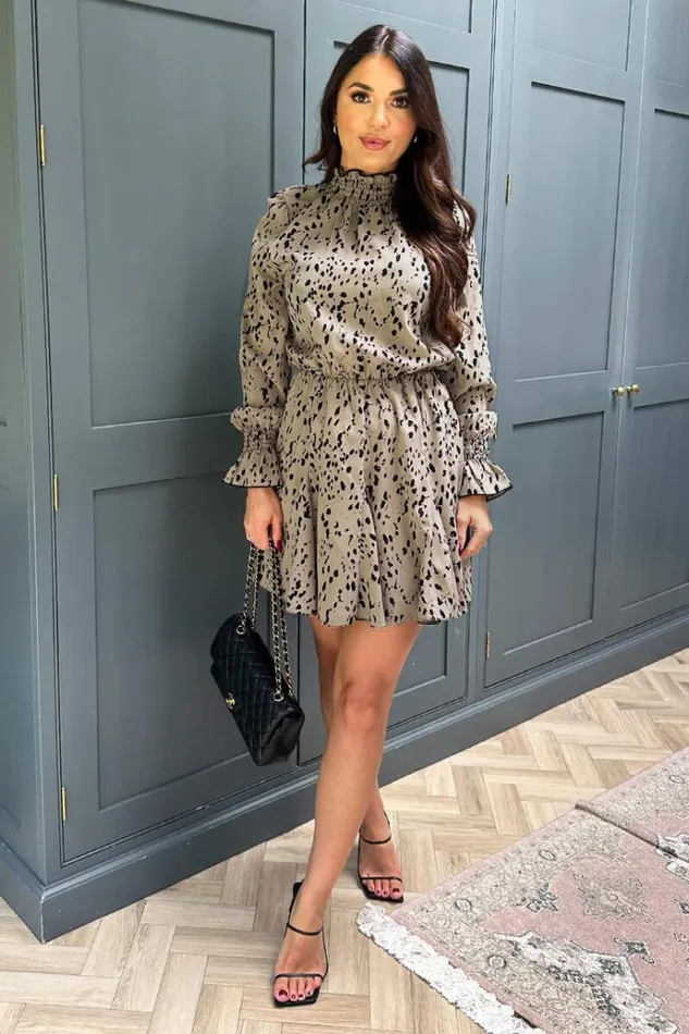 AX Paris Beige Animal Print Long Sleeve Shirred Detail Skater Dress Women Dresses