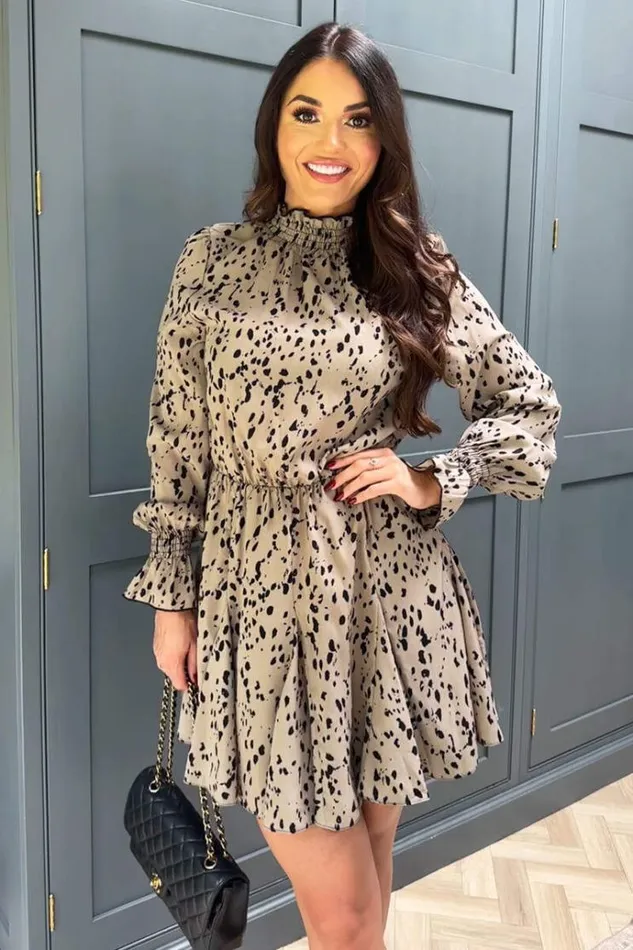 AX Paris Beige Animal Print Long Sleeve Shirred Detail Skater Dress Women Dresses