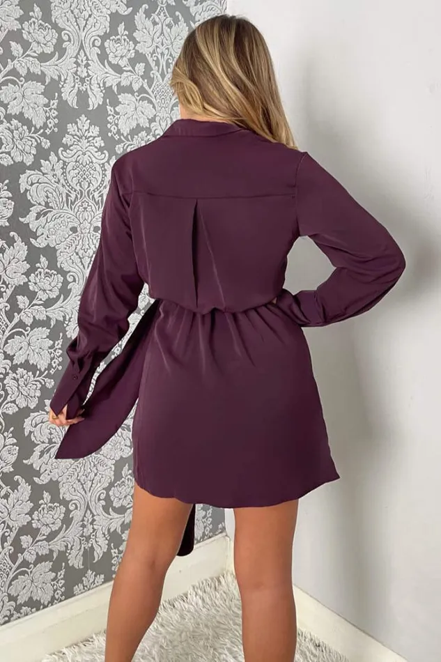 AX Paris Plum Tie Wrap Long Sleeve Mini Dress Women Dresses