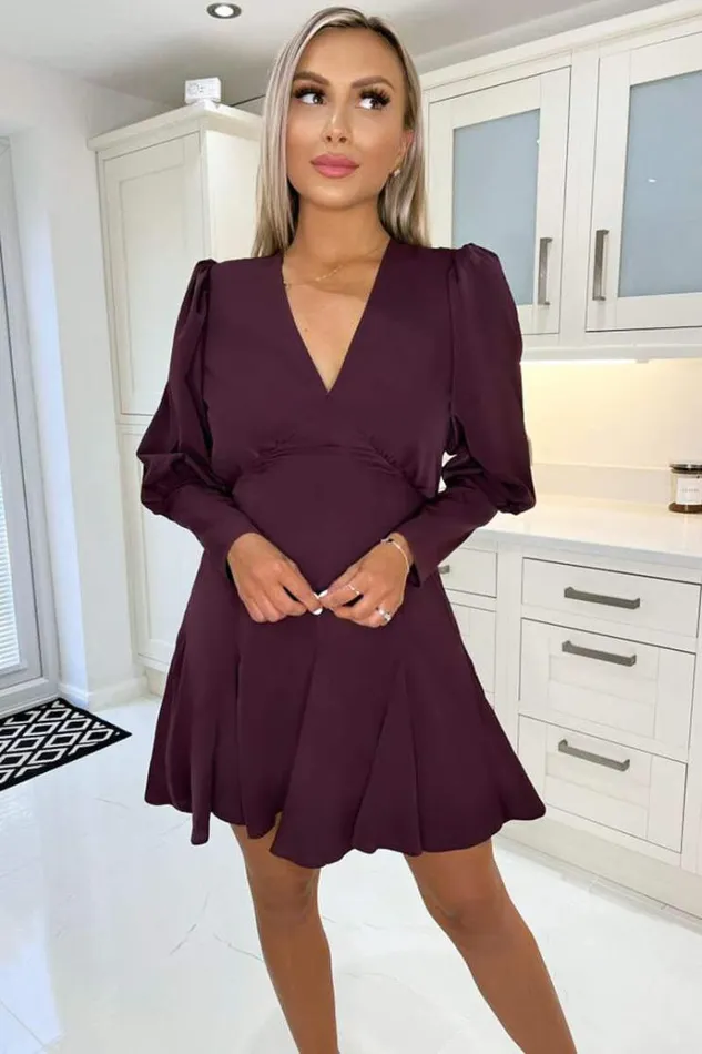 AX Paris Plum VNeck Long Sleeve Skater Dress Women Dresses