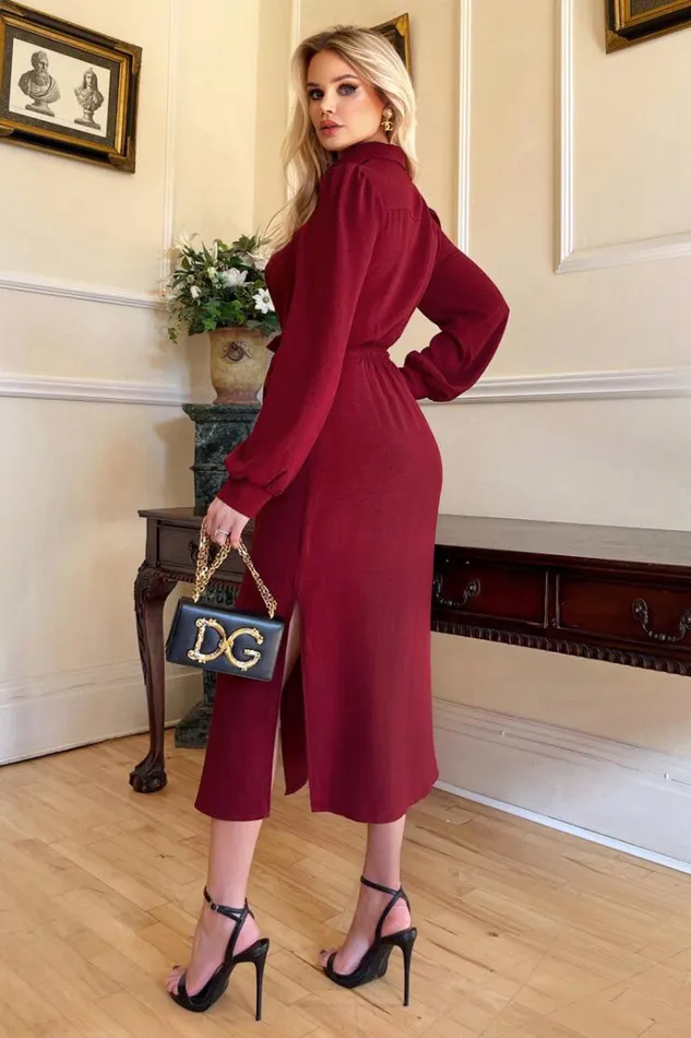 AX Paris Wine Button Front Tie Shirt Midi Dress Women Dresses