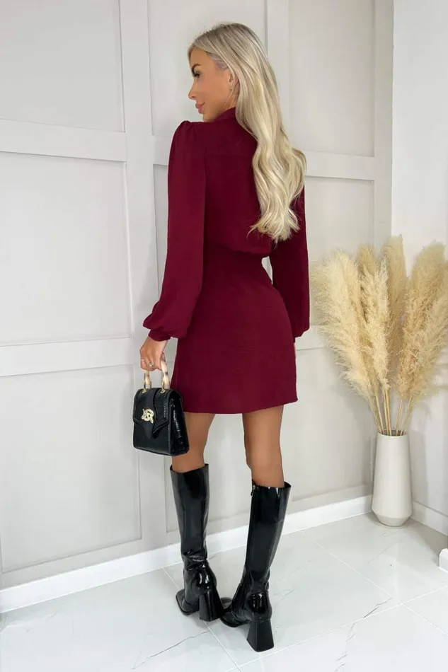 AX Paris Wine Button Tie Front Mini Shirt Dress Women Dresses