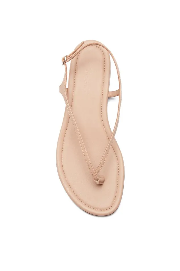 Gabriela Hearst Sandals Women Gia Flat Sandal In Dark Camel Leather
