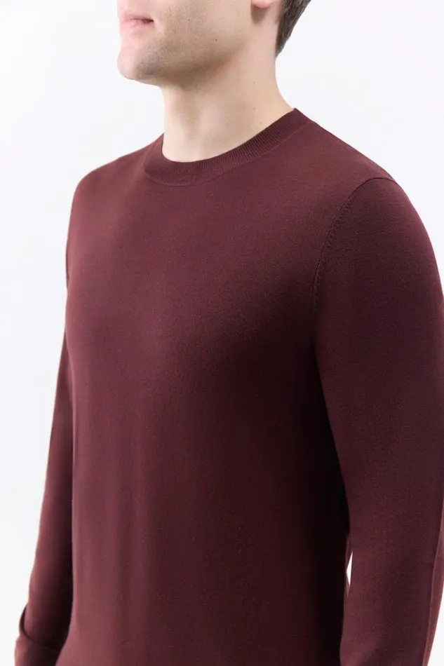 Gabriela Hearst Tops Men Palco Knit Crewneck In Deep Bordeaux Merino Wool