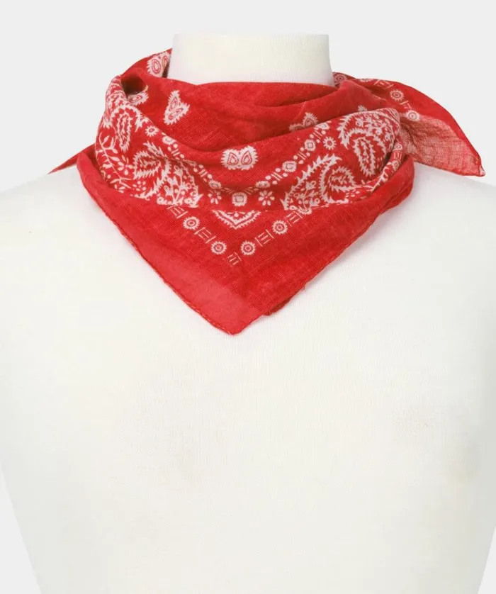 Men Joe Browns Accessories and Jewellery Joe039s Bandana
