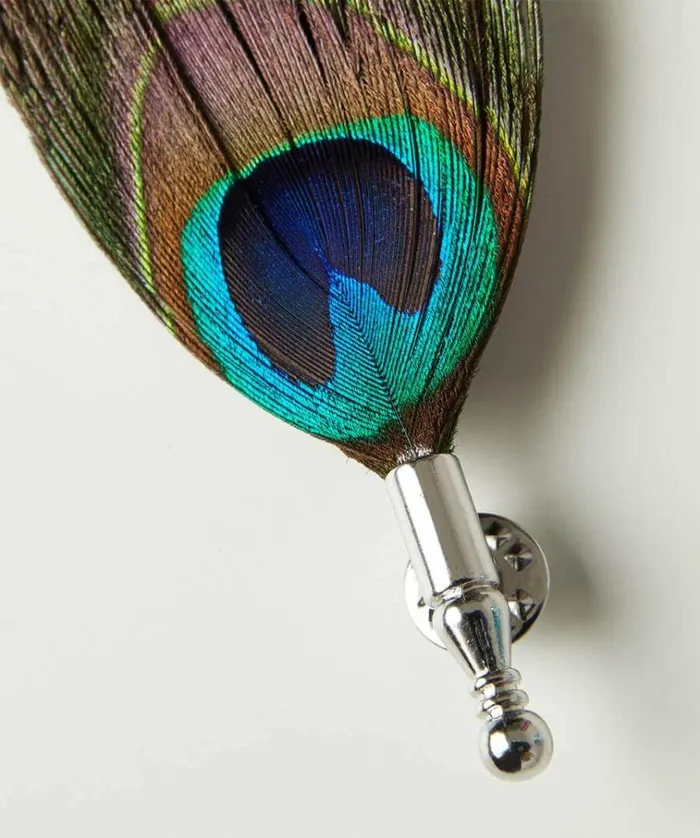 Men Joe Browns Accessories and Jewellery Luxury Peacock Feather Pin