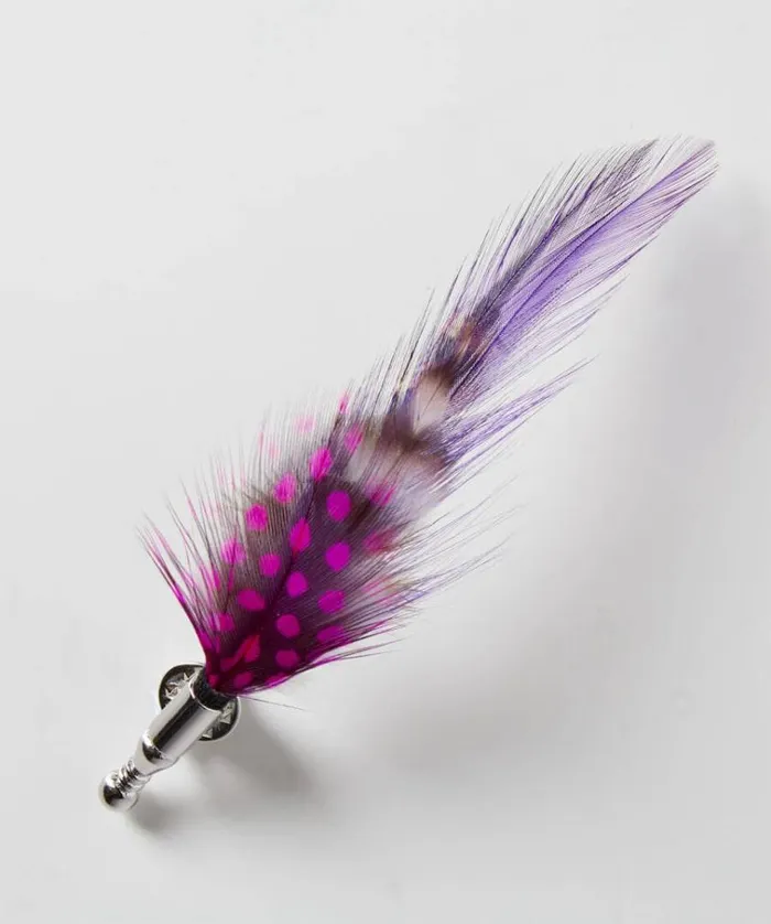Men Joe Browns Accessories and Jewellery Vibrant Feather Pin