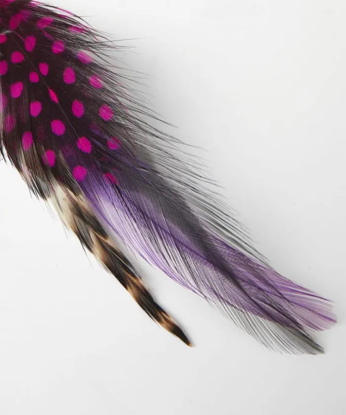Men Joe Browns Accessories and Jewellery Vibrant Feather Pin Men Joe Browns Accessories and Jewellery Vibrant Feather Pin