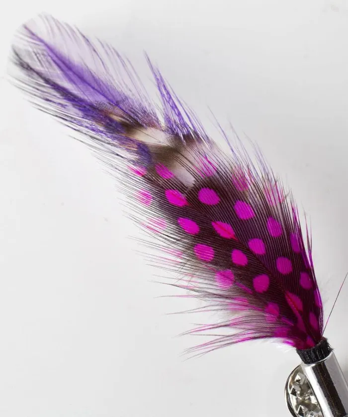 Men Joe Browns Accessories and Jewellery Vibrant Feather Pin Men Joe Browns Accessories and Jewellery Vibrant Feather Pin