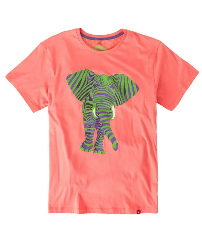 Men Joe Browns TShirts and Tops Superb Stripe Elephant Tee Men Joe Browns TShirts and Tops Superb Stripe Elephant Tee