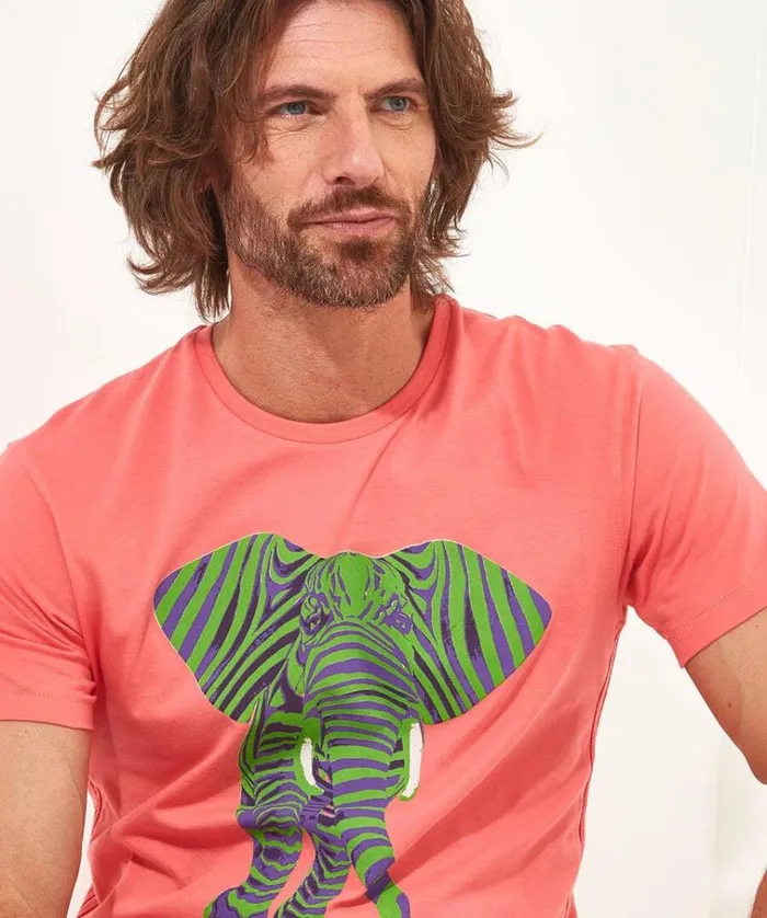 Men Joe Browns TShirts and Tops Superb Stripe Elephant Tee Men Joe Browns TShirts and Tops Superb Stripe Elephant Tee