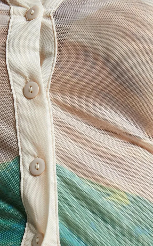 Showpo 4th and Reckless 8211 Elyanna Top In Sheer Print Women Tops