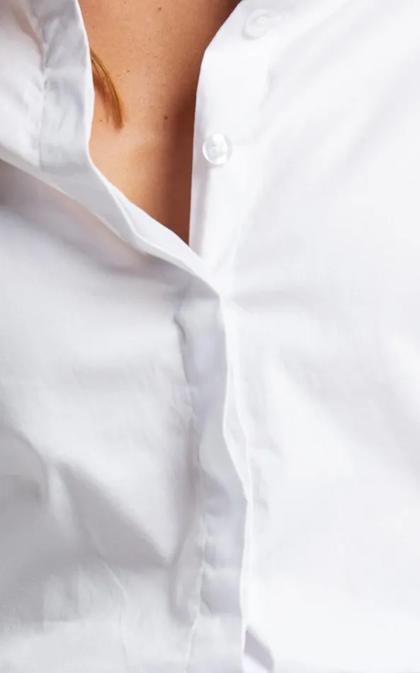 Showpo Briannon Shirt 8211 Long Sleeve Fitted Collared Button Up Shirt In White Women Curve Clothes
