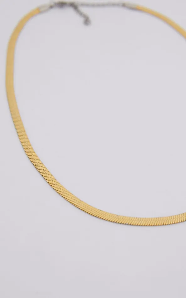 Showpo Francesa Snakechain Necklace In Gold Women Necklaces