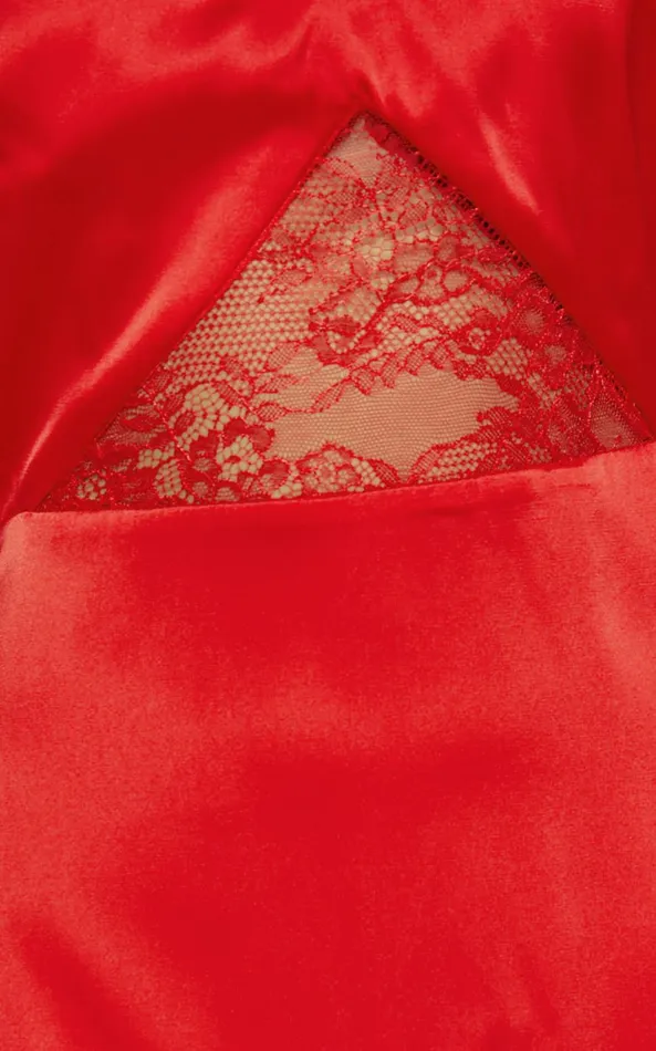 Showpo Maisey Mini Dress 8211 V Neck Lace Detail Slip Dress In Red Women Dresses