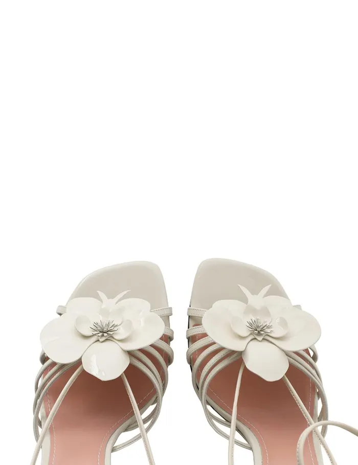Women Heels Zimmermann Zimmermann Orchid Wedge 85 Macadamia