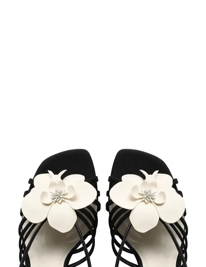 Women Heels Zimmermann Zimmermann Orchid Wedge 85 Onyx