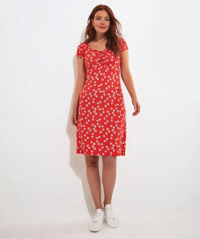 Women Joe Browns Dresses Ditsy Daisy Jersey Dress Women Joe Browns Dresses Ditsy Daisy Jersey Dress