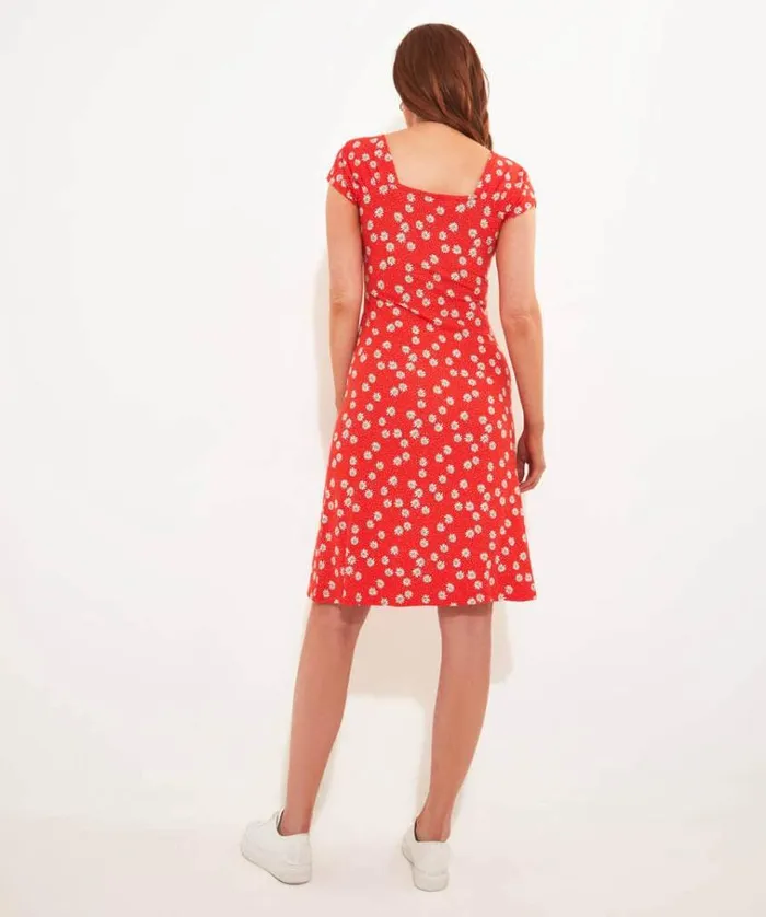 Women Joe Browns Dresses Ditsy Daisy Jersey Dress Women Joe Browns Dresses Ditsy Daisy Jersey Dress
