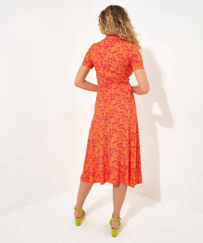 Women Joe Browns Dresses Loretta Print Jersey Dress Women Joe Browns Dresses Loretta Print Jersey Dress
