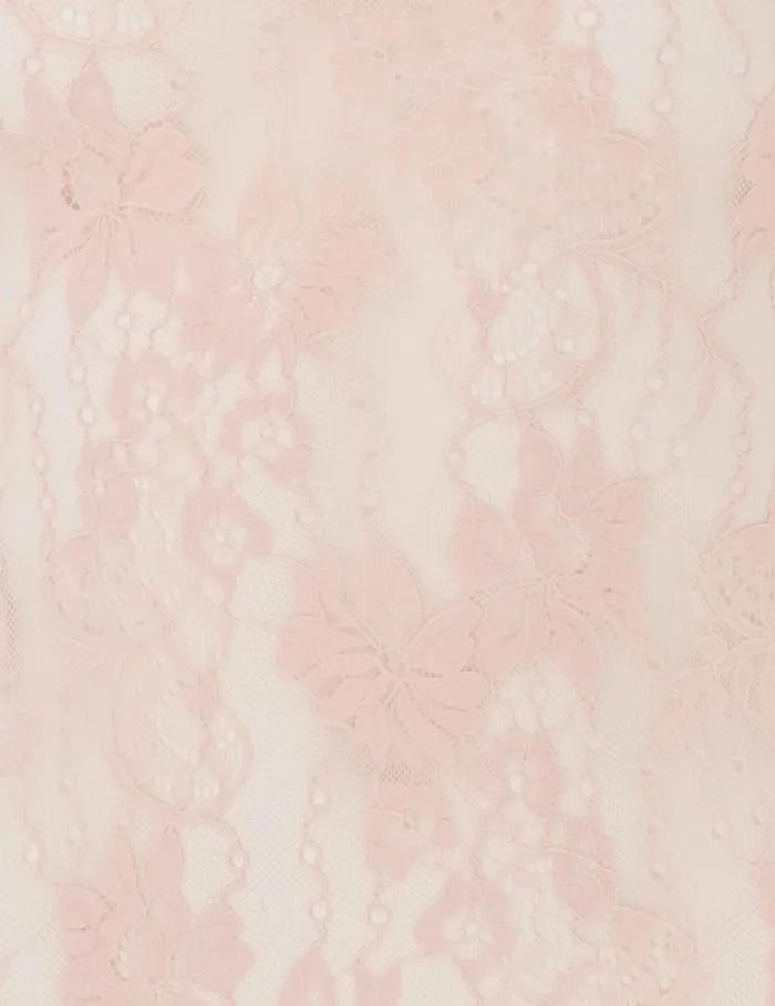 Women Tops Zimmermann Lace Bodysuit Blush