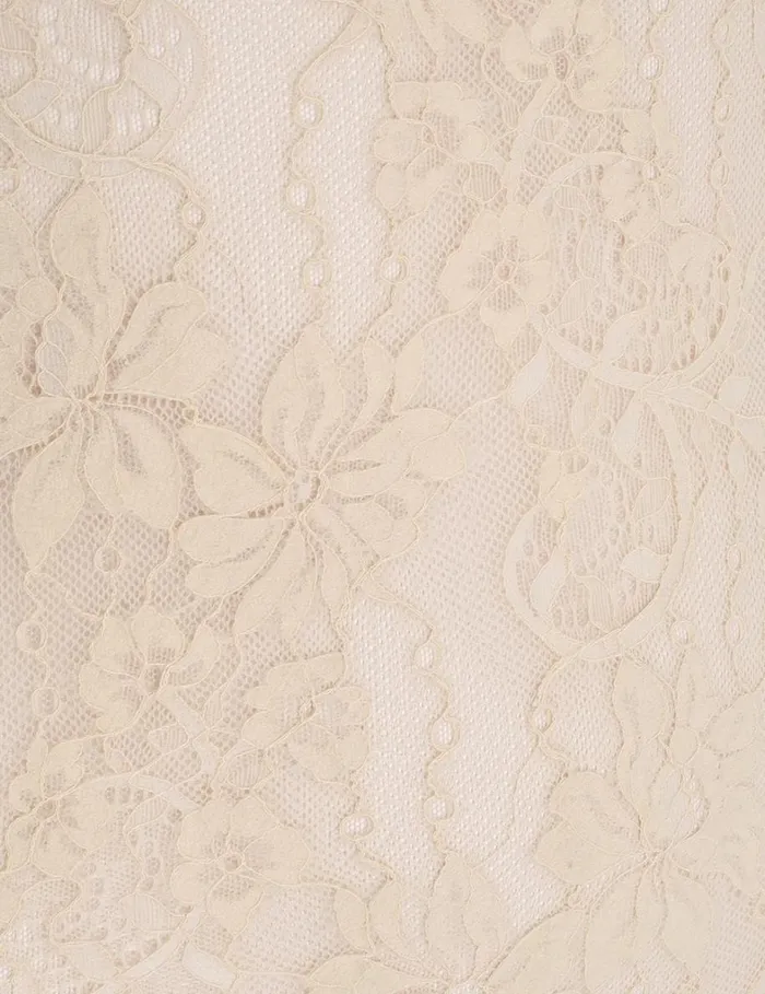 Women Tops Zimmermann Lace Bodysuit Parchment