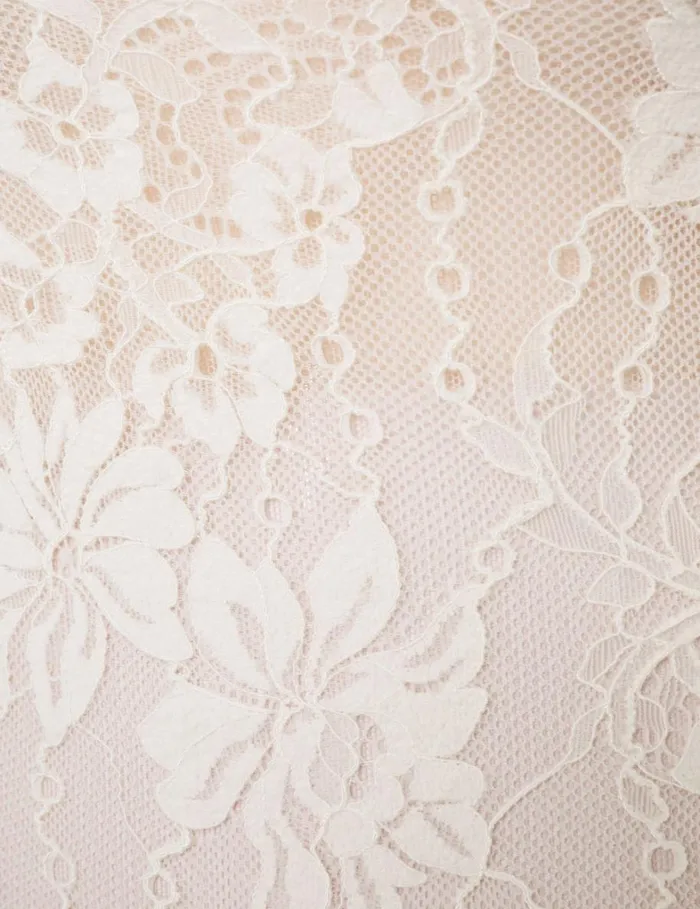 Women Tops Zimmermann Lace Scoop Bodysuit Cream