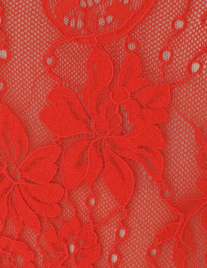 Women Tops Zimmermann Lace Scoop Bodysuit Tomato